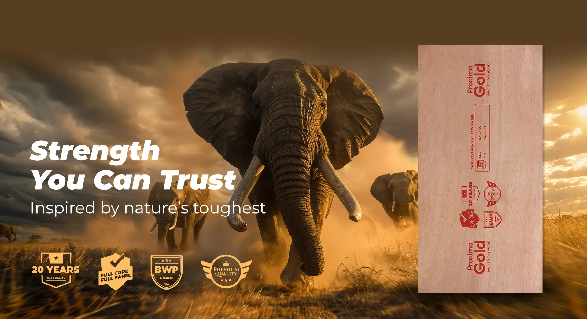 Proxima Architect Choice – Premium Plywood, Laminates & Boards in South India